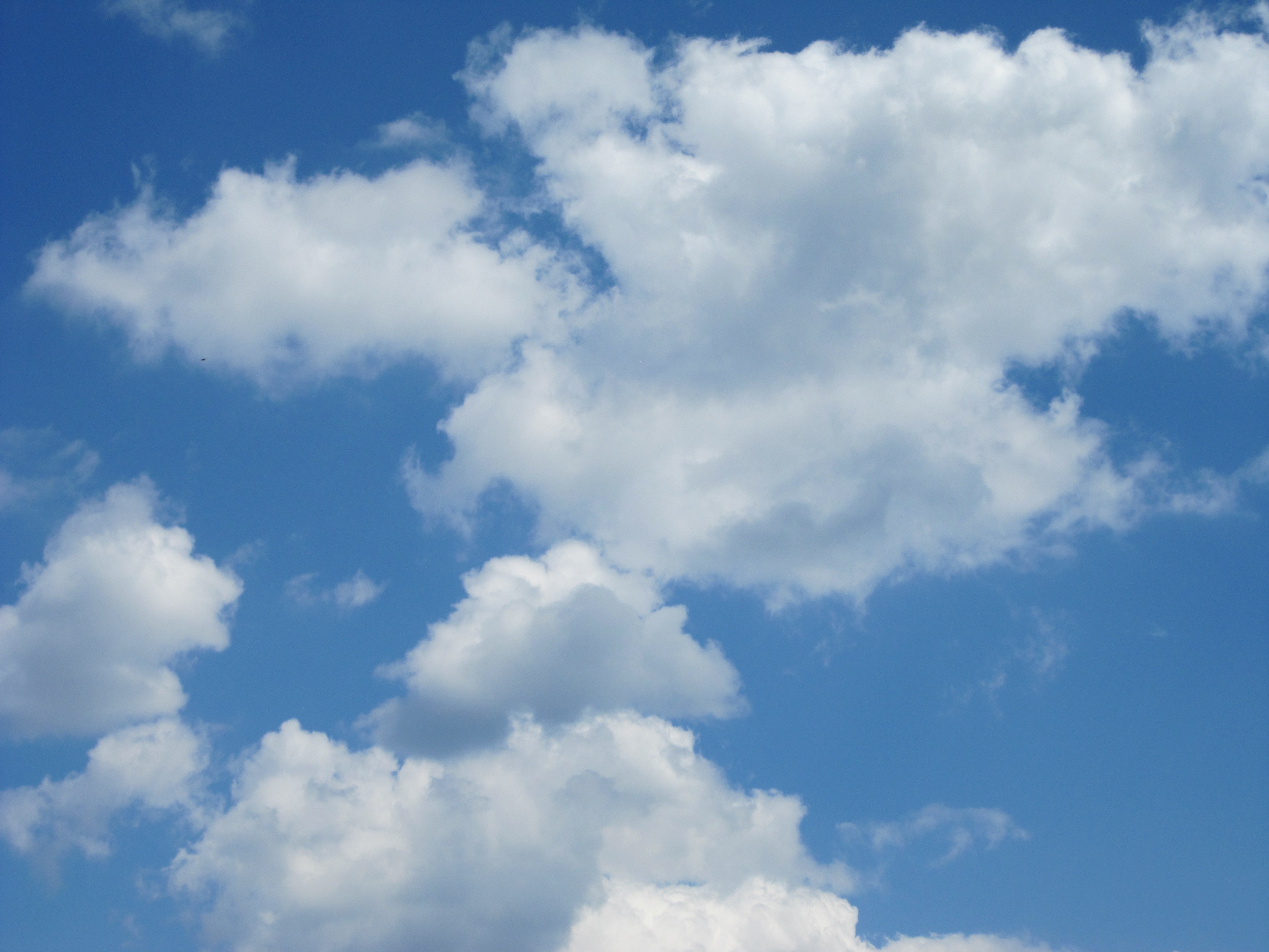 WHBC Clouds